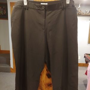 dress barn plus size capris